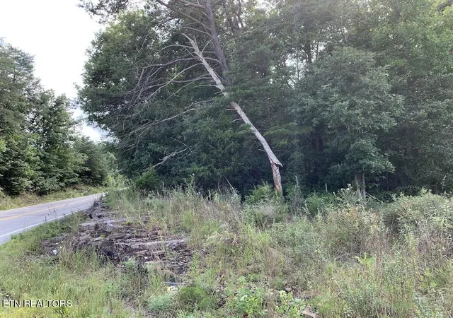 Photo 3 of Land for sale at Nashville Hwy, Lancing, TN 37770 | MLS# 1353747 | Listing updated on 2026-10-05