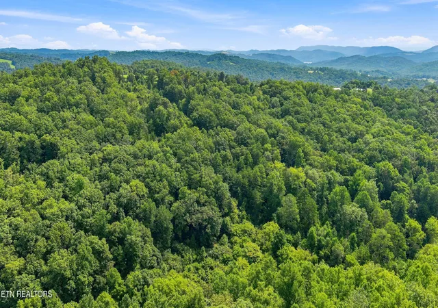 Photo 4 of Land for sale at Brewer Holw Rd, Sharps Chapel, TN 37866 | MLS# 1353808 | Listing updated on 2026-08-31