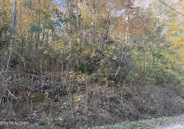 Photo 3 of Sale Pending at Trentham Way, Pigeon Forge, TN 37863 | MLS# 1353814 | Listing updated on 2026-09-15