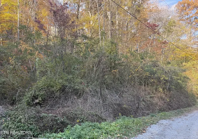 Photo 3 of Sale Pending at Trentham Way, Pigeon Forge, TN 37863 | MLS# 1353814 | Listing updated on 2026-09-15