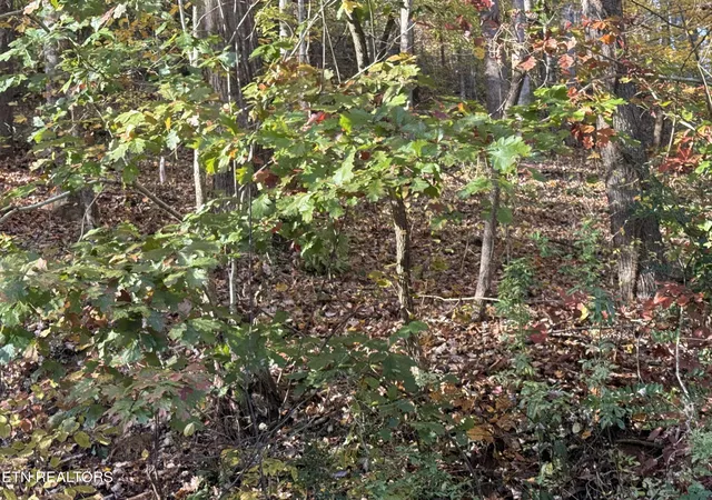 Photo 4 of Sale Pending at Trentham Way, Pigeon Forge, TN 37863 | MLS# 1353814 | Listing updated on 2026-09-15