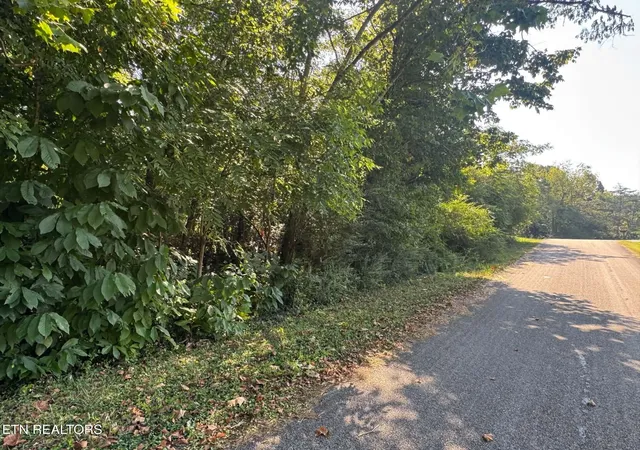Photo 1 of Land for sale at 164 Jodys Ln, Rockwood, TN 37854 | MLS# 1353870 | Listing updated on 2026-09-13