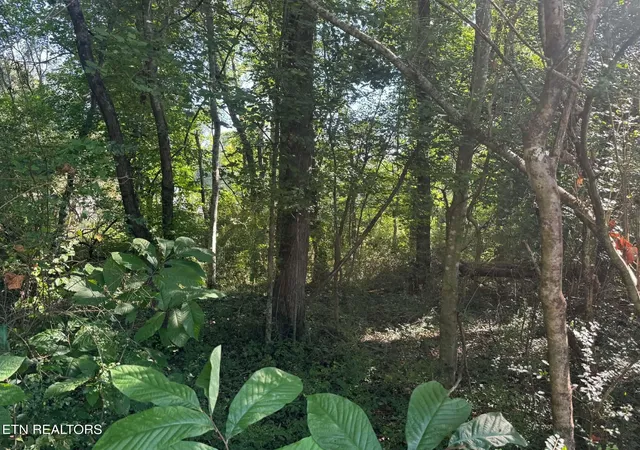 Photo 2 of Land for sale at 164 Jodys Ln, Rockwood, TN 37854 | MLS# 1353870 | Listing updated on 2026-09-13