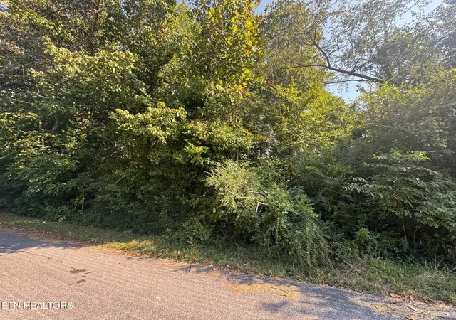 Photo 3 of Land for sale at 164 Jodys Ln, Rockwood, TN 37854 | MLS# 1353870 | Listing updated on 2026-09-13