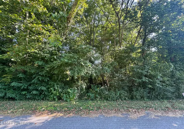 Photo 3 of Land for sale at 164 Jodys Ln, Rockwood, TN 37854 | MLS# 1353870 | Listing updated on 2026-09-13