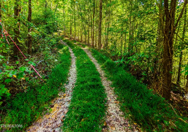 Land for sale at 429 King Branch Rd, Sevierville, TN 37876 | MLS# 1358261