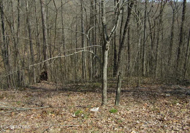 Land for sale at Lot 28 Hunters S Landing Ln, Smithville, TN 37166 | MLS# 1357919