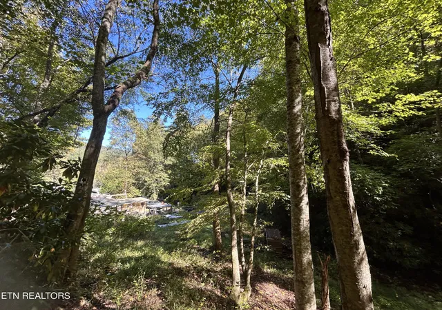 Land for sale at 433 Steve Brown Rd, Bean Station, TN 37708 | MLS# 1358089