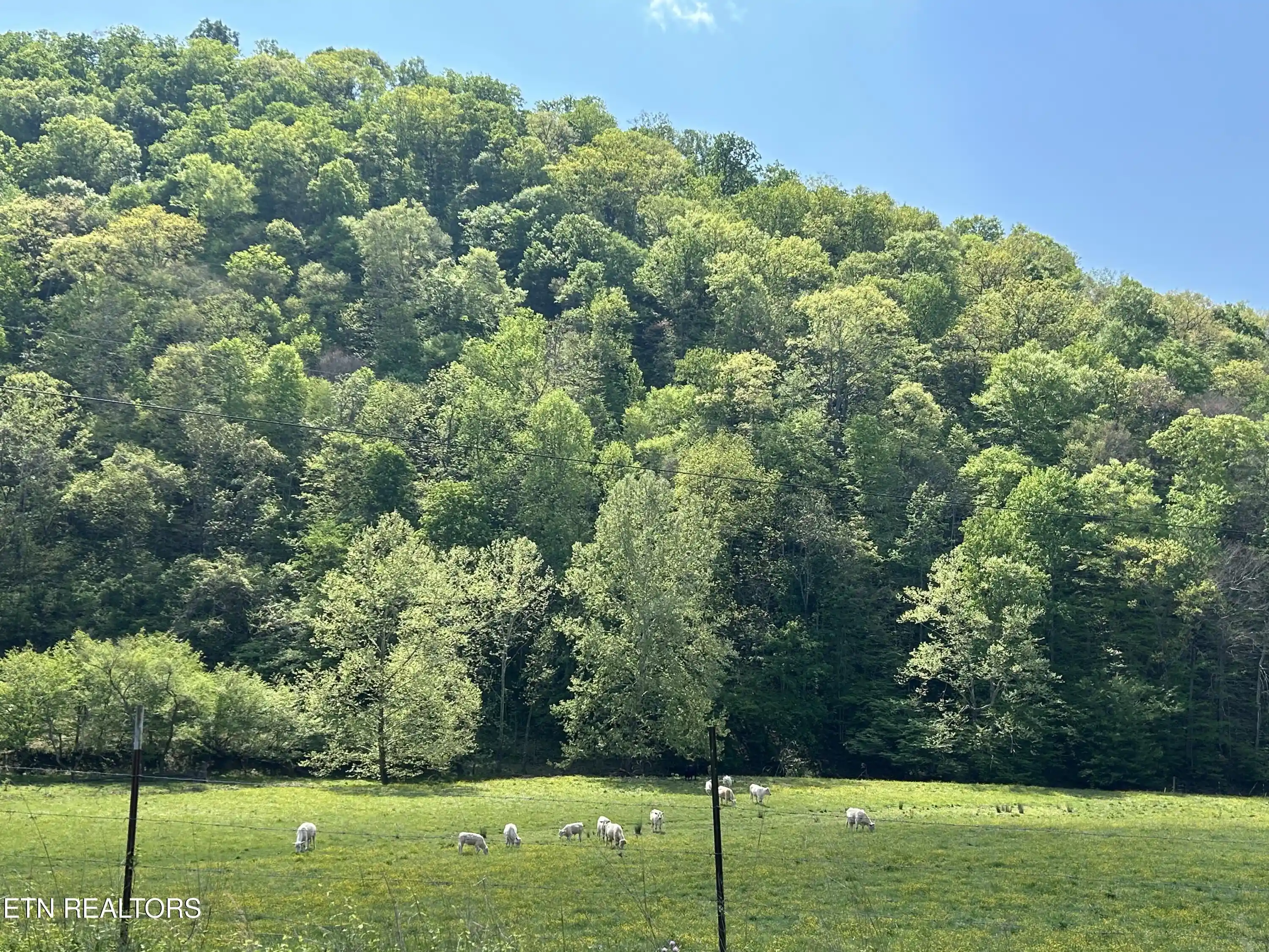 Photo 1 of Land for sale at Trent Valley Rd, Sneedville, TN 37869 | MLS# 1358151 | Listing updated on 2026-10-07