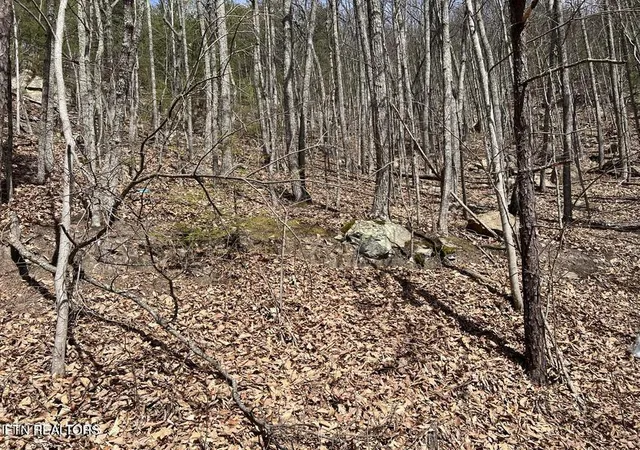 Photo 1 of Land for sale at Clingmans View #18, Sevierville, TN 37876 | MLS# 1358622 | Listing updated on 2026-10-12