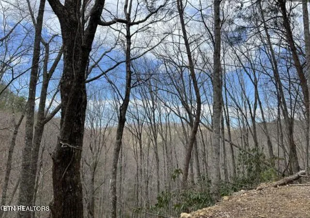 Photo 1 of Land for sale at John Sevier Dr #10, Sevierville, TN 37876 | MLS# 1358625 | Listing updated on 2026-10-12