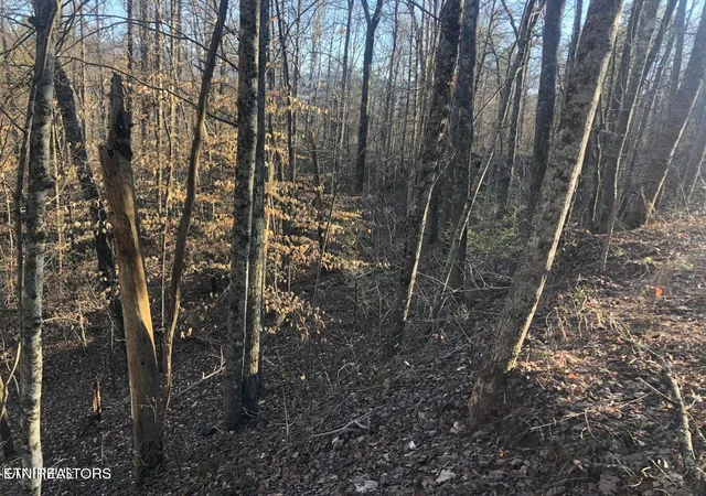 Photo 1 of Land for sale at Yellowwood Dr, Sevierville, TN 37876 | MLS# 1358747 | Listing updated on 2026-10-13