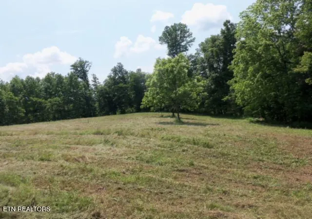 Photo 1 of Land for sale at 573ac Mate Allen Rd, Gainesboro, TN 38562 | MLS# 1358844 | Listing updated on 2026-10-16