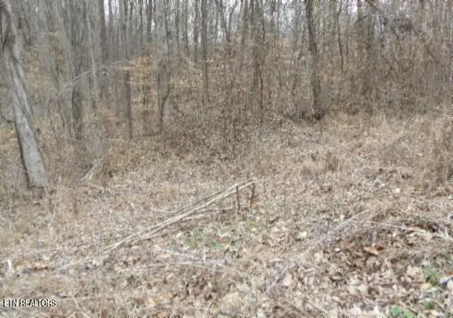 Photo 1 of Land for sale at 551ac Beaver Ln, Gainesboro, TN 38562 | MLS# 1359014 | Listing updated on 2026-10-15