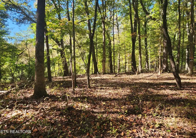 Land for sale at S Chamberlain Ave, Rockwood, TN 37854 | MLS# 1359950