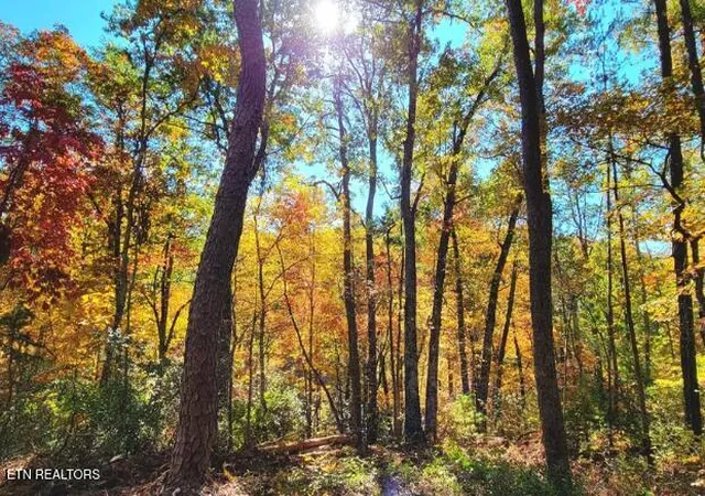 Photo 1 of Land for sale at Riversong Ridge Way, Sevierville, TN 37876 | MLS# 1359989 | Listing updated on 2026-10-24