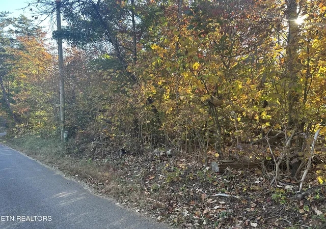 Photo 2 of Land for sale at 1378 Dunville Gap Rd, Rutledge, TN 37861 | MLS# 1360533 | Listing updated on 2026-10-30