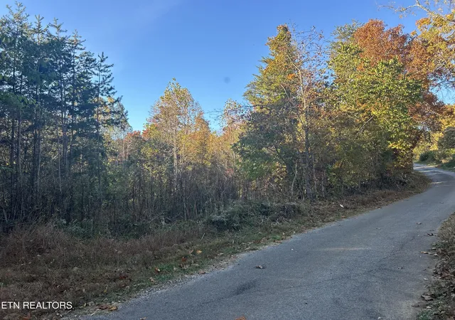 Photo 3 of Land for sale at 1378 Dunville Gap Rd, Rutledge, TN 37861 | MLS# 1360533 | Listing updated on 2026-10-30