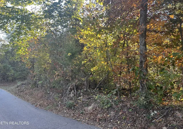 Photo 4 of Land for sale at 1378 Dunville Gap Rd, Rutledge, TN 37861 | MLS# 1360533 | Listing updated on 2026-10-30