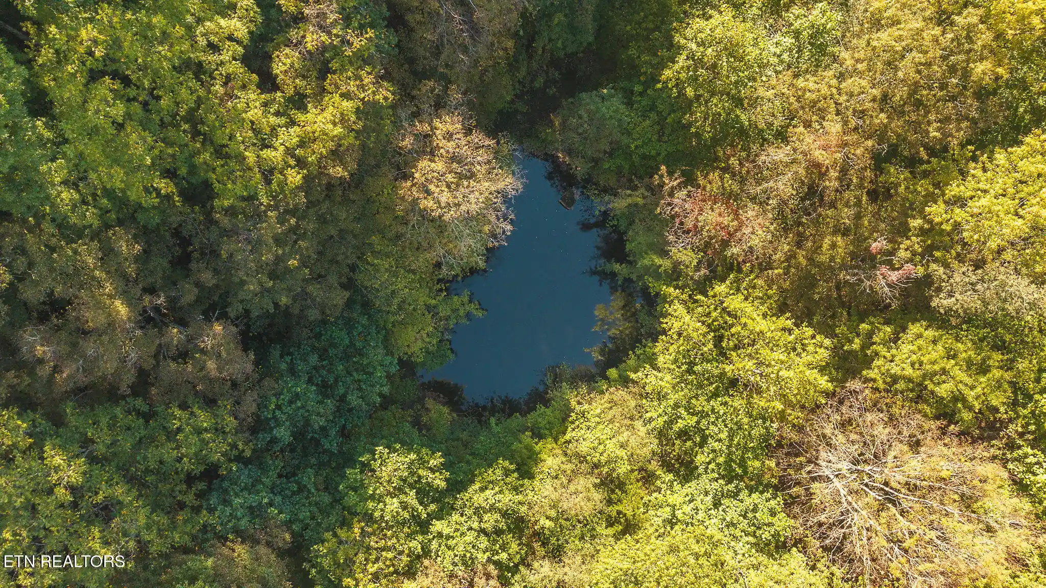 Photo 1 of Land for sale at 6926 Ac Wolfe Rd, Sneedville, TN 37869 | MLS# 1360580 | Listing updated on 2026-10-30