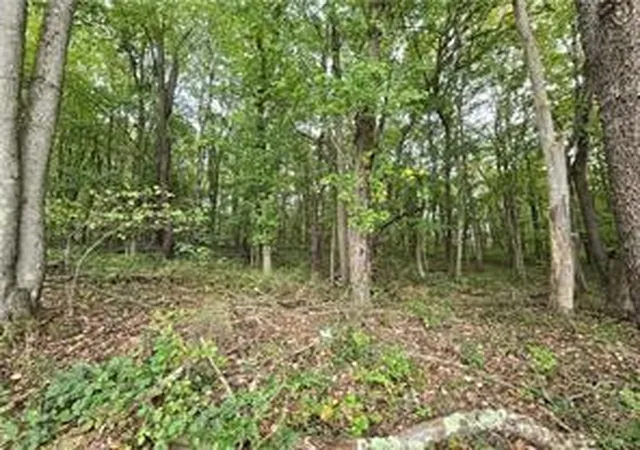 Homes for sale in Long Branch Boro, PA | 000 Lot 22 Dally Road, Long Branch Boro, PA 15423 | MLS# 1727664