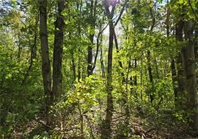 Homes for sale in Long Branch Boro, PA | 000 Lot 24 Dally Road, Long Branch Boro, PA 15423 | MLS# 1727674