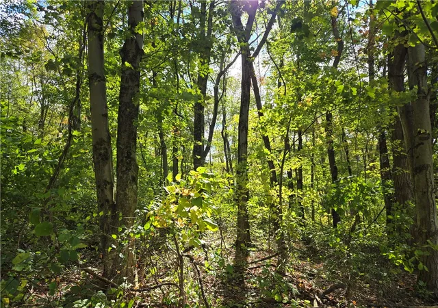 Photo 1 of Land for sale at 000 Lot 24 Dally Rd, Long Branch Boro, PA 15423 | MLS# 1675219 | Listing updated on 2025-10-08