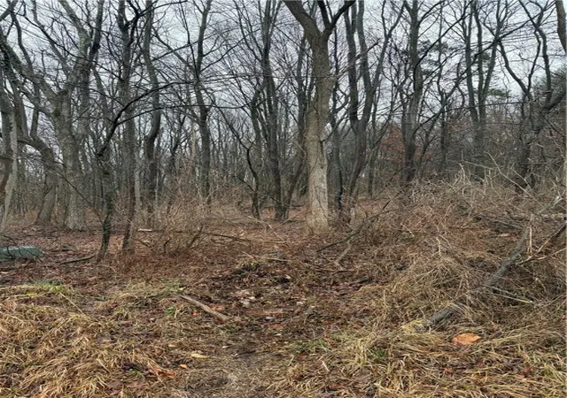 Photo 4 of Residential Lot at 0 Snyder St, Tarentum, PA 15084 | MLS# 1684075 |  | Sold on 2025-12-22