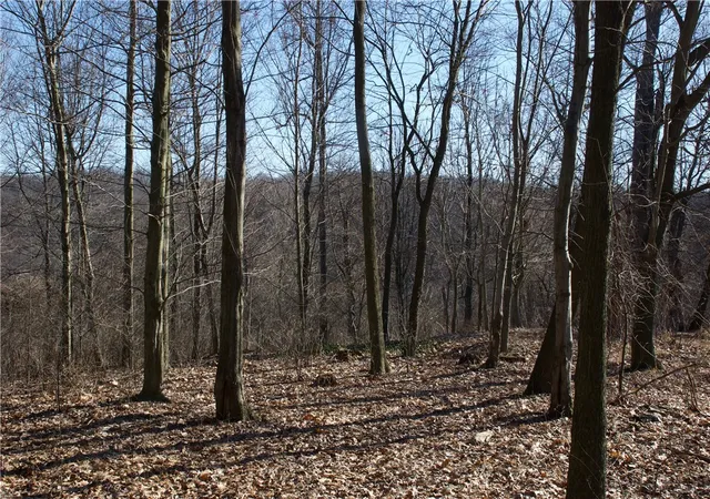 Photo 1 of Land for sale at 0 Audubon Road, Sewickley, PA 15143 | MLS# 1714255 | Listing updated on 2026-04-11