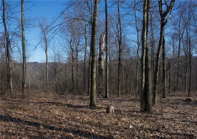 Photo 2 of Land for sale at 0 Audubon Road, Sewickley, PA 15143 | MLS# 1714255 | Listing updated on 2026-04-11