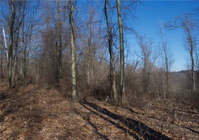 Photo 3 of Land for sale at 0 Audubon Road, Sewickley, PA 15143 | MLS# 1714255 | Listing updated on 2026-04-11