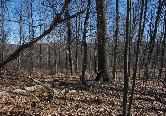 Photo 4 of Land for sale at 0 Audubon Road, Sewickley, PA 15143 | MLS# 1714255 | Listing updated on 2026-04-11