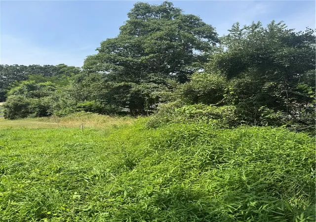 3rd image of 461 Marshall Heights Rd, Blairsville, PA 15717 | MLS# 1714915