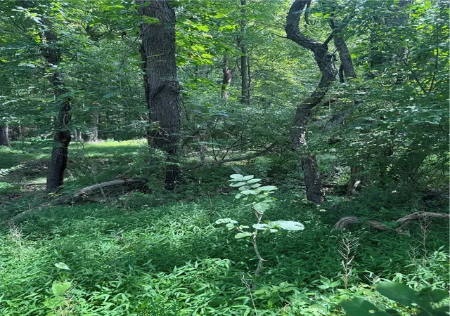 5th image of 461 Marshall Heights Rd, Blairsville, PA 15717 | MLS# 1714915