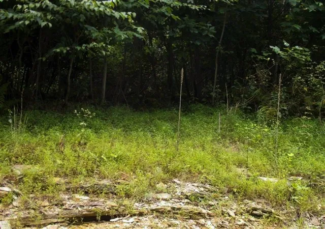 Photo 3 of Sale Pending at Lots 1&2 Brady's Landing, Perry Twp, PA 16041 | MLS# 1717531 | Listing updated on 2026-06-13