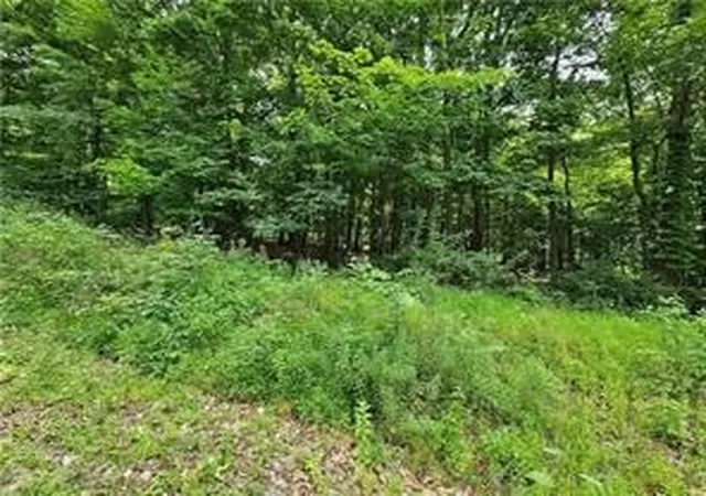 Homes for sale in Derry Twp, PA | Lot 17/18 Tanager, Derry Twp, PA 15670 | MLS# 1722146