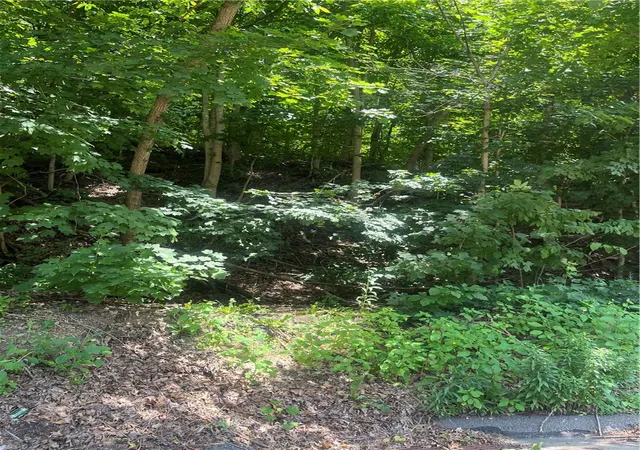 Homes for sale in Collier Twp, PA | 0 Thoms Run Rd, Collier Twp, PA 15071 | MLS# 1722626