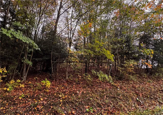 Homes for sale in Athens, PA | Lot 1 Dobbs Rd, Athens, PA 16438 | MLS# 1722850