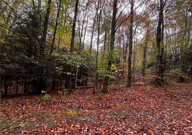 Homes for sale in Athens, PA | Lot 1 Dobbs Rd, Athens, PA 16438 | MLS# 1722850