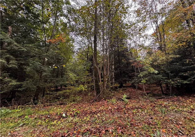 Homes for sale in Athens, PA | Lot 1 Dobbs Rd, Athens, PA 16438 | MLS# 1722850