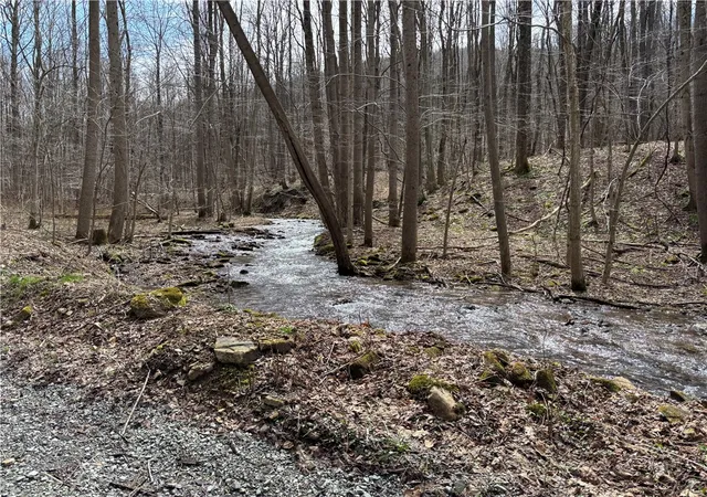 12th image of Lot 1 Neals Run Road, Champion, PA 15622 | MLS# 1724314