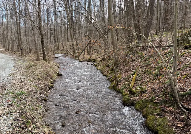 1st image of Lot 1 Neals Run Road, Champion, PA 15622 | MLS# 1724314