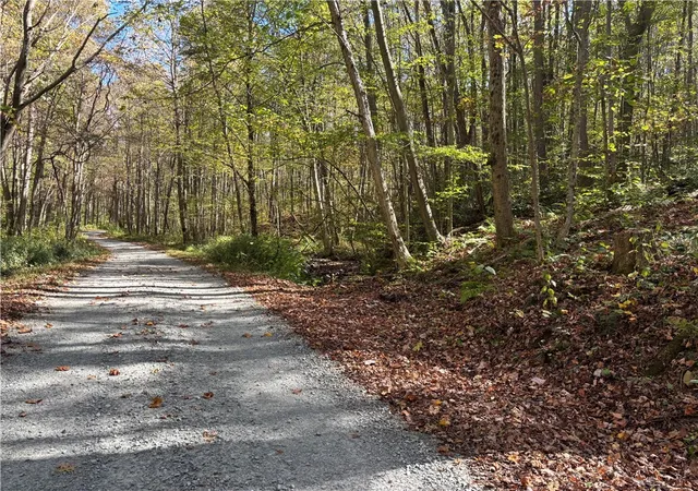 2nd image of Lot 1 Neals Run Road, Champion, PA 15622 | MLS# 1724314