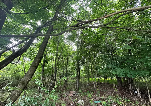 Photo 3 of Land for sale at 0 Holly Alley, Brownsville, PA 15475 | MLS# 1724982 | Listing updated on 2026-08-02