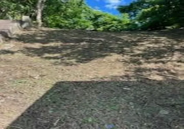 Land for sale at 1630 Westmoreland Ave, Pittsburgh, PA 15206 | MLS# 1725384