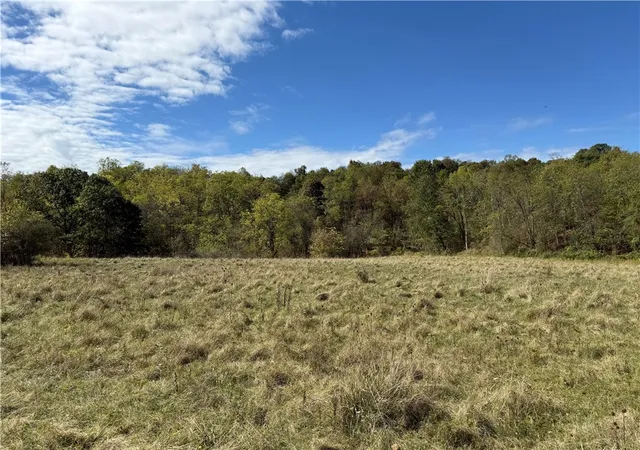 Homes for sale in Waynsbrg/frankln Twp, PA | 00 Mine Road, Waynsbrg/frankln Twp, PA 15370 | MLS# 1727083