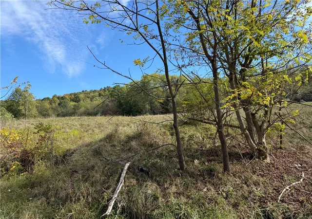Homes for sale in Waynsbrg/frankln Twp, PA | 00 Mine Road, Waynsbrg/frankln Twp, PA 15370 | MLS# 1727083