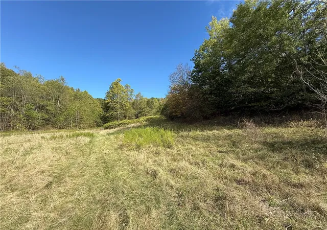 Homes for sale in Waynsbrg/frankln Twp, PA | 00 Mine Road, Waynsbrg/frankln Twp, PA 15370 | MLS# 1727083
