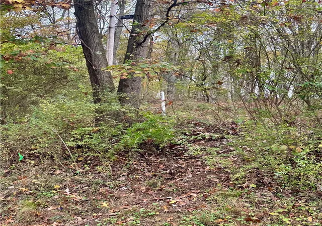 1st image of 0 Old State Road, Gibsonia, PA 15044 | MLS# 1729123