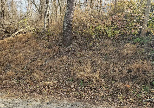 Photo 4 of Land for sale at Lot 10-11 Arch St, Monessen, PA 15062 | MLS# 1730572 | Listing updated on 2026-03-29
